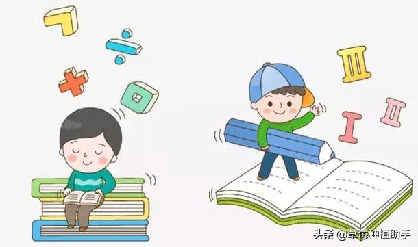 种草莓的都是好男人！转起来，让大家看到！