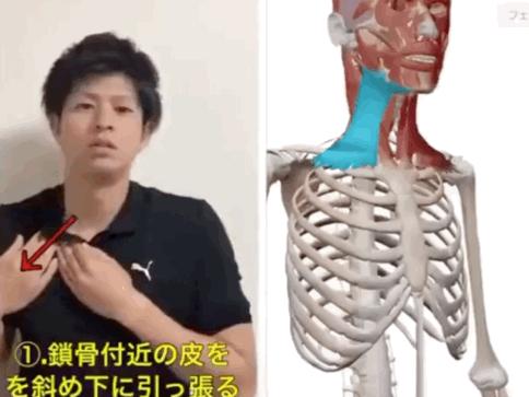 国字脸怎么瘦脸教你变成巴掌小脸,脸小有什么办法