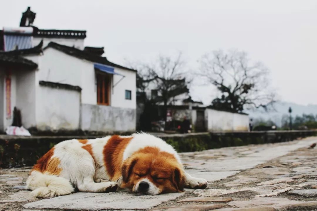 安徽最容易被忽视的地方,安徽低调吗