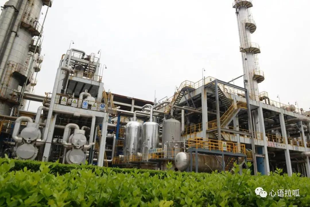 淄博曾经有合成氨和三十万
