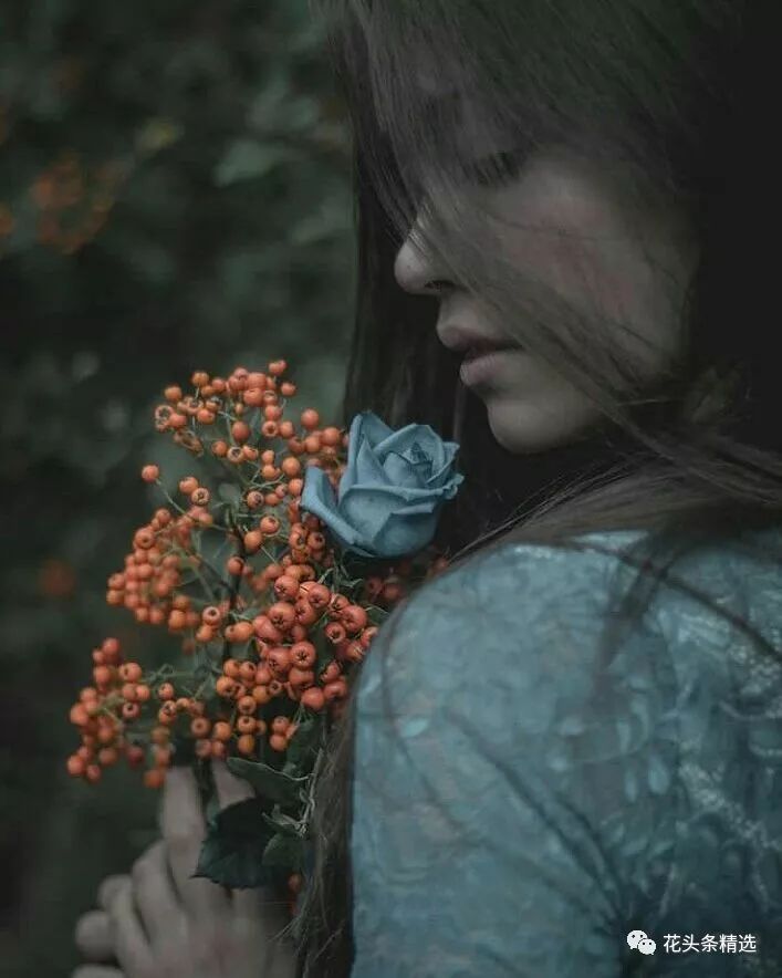 最优质的北美冬青,北美冬青性价比高的