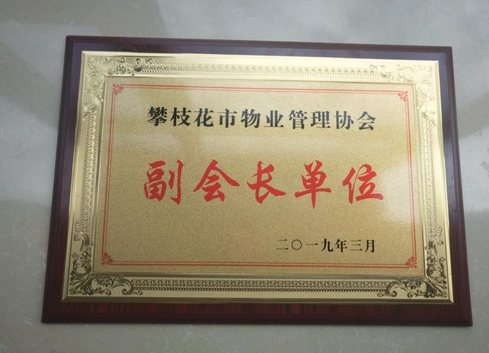 金碧物业致敬战疫,金碧物业先进事迹