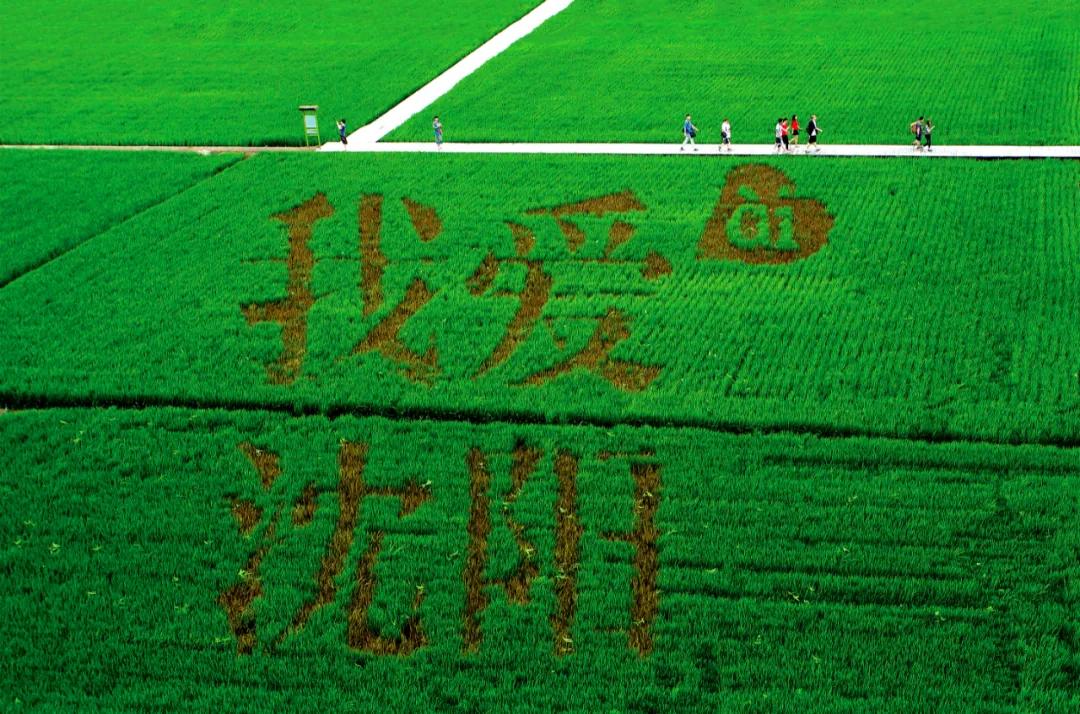 沈阳打造文旅发展新格局,新发展理念沈阳文旅