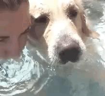 我家狗狗以为它是我亲生的,你家狗会不会认为是你亲生的