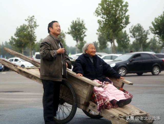 26张活久见的图片看完又涨知识了,42张照片大图