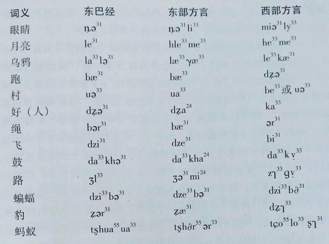 纳西族母系文化,纳西族文化有哪些