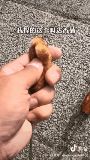 全球旅行攻略干货,全球旅行不为人知的秘密