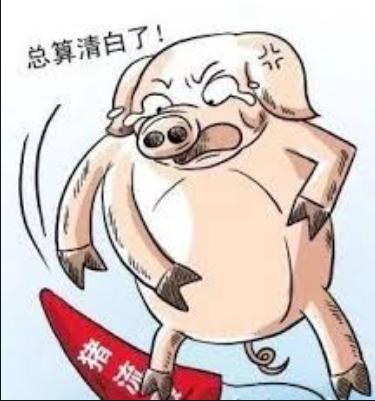 新型冠状病毒的真正名字是什么,新型冠状病毒到底叫什么名字