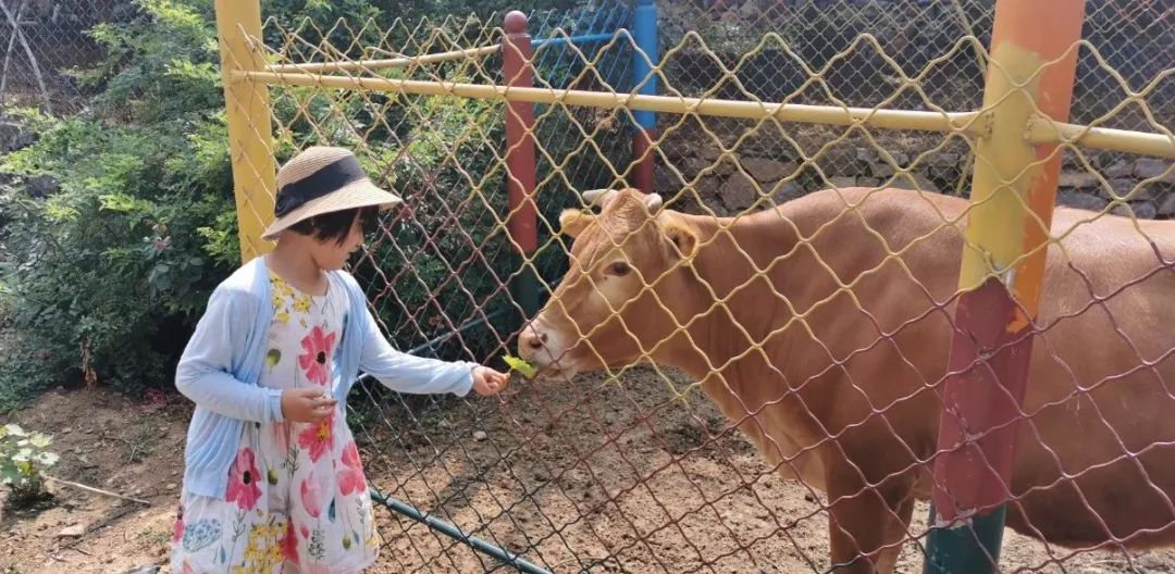 济南适合遛娃的免费去处,济南冬季遛娃免费攻略