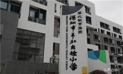 2022深圳罗湖区小学入学条件,2018深圳罗湖小学前十名