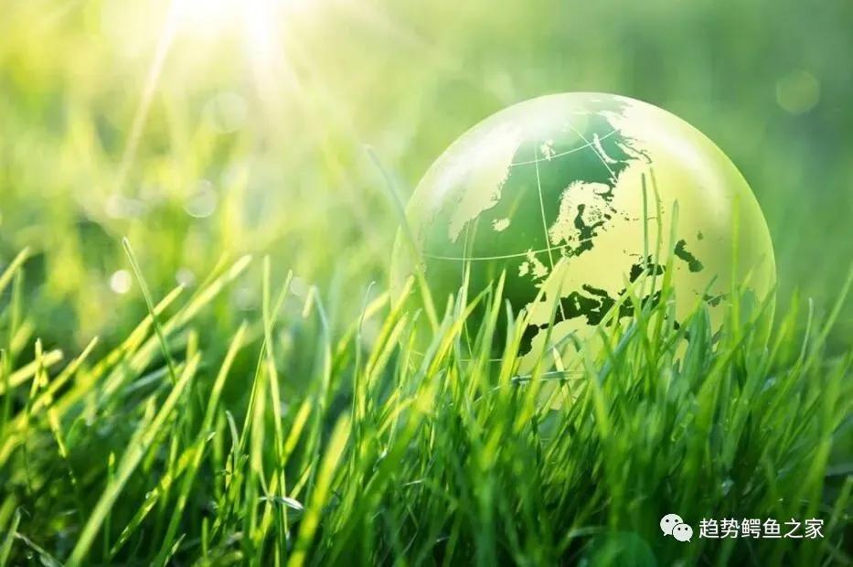 期货从业价值,期货从业人员交易期货盈利