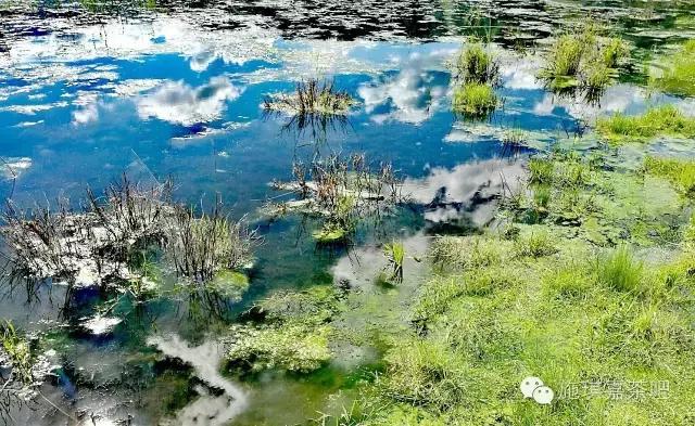 人为什么要做梦阅读理解,人为啥要做梦呢