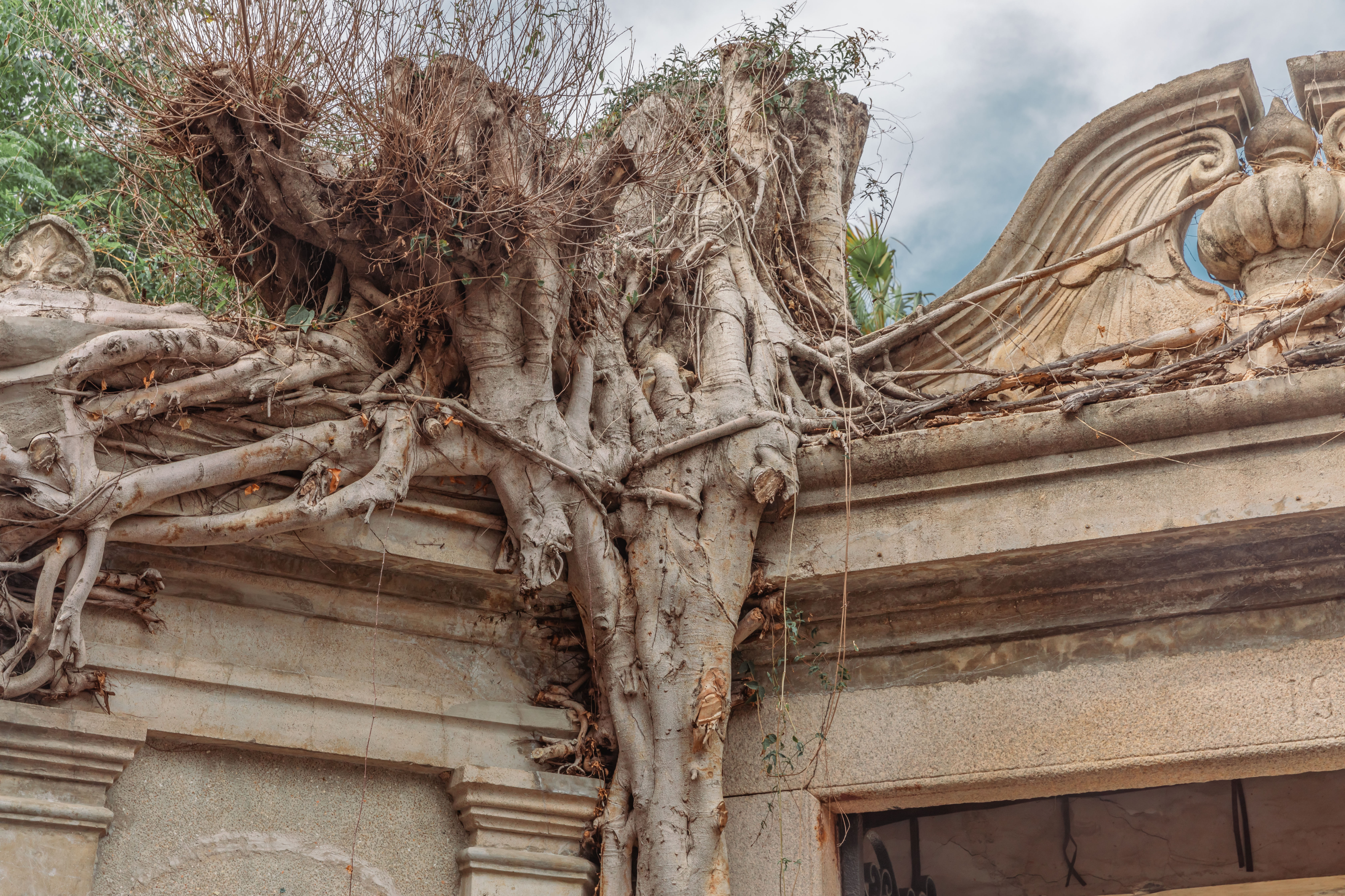 简短对鼓浪屿的评价,吐槽鼓浪屿
