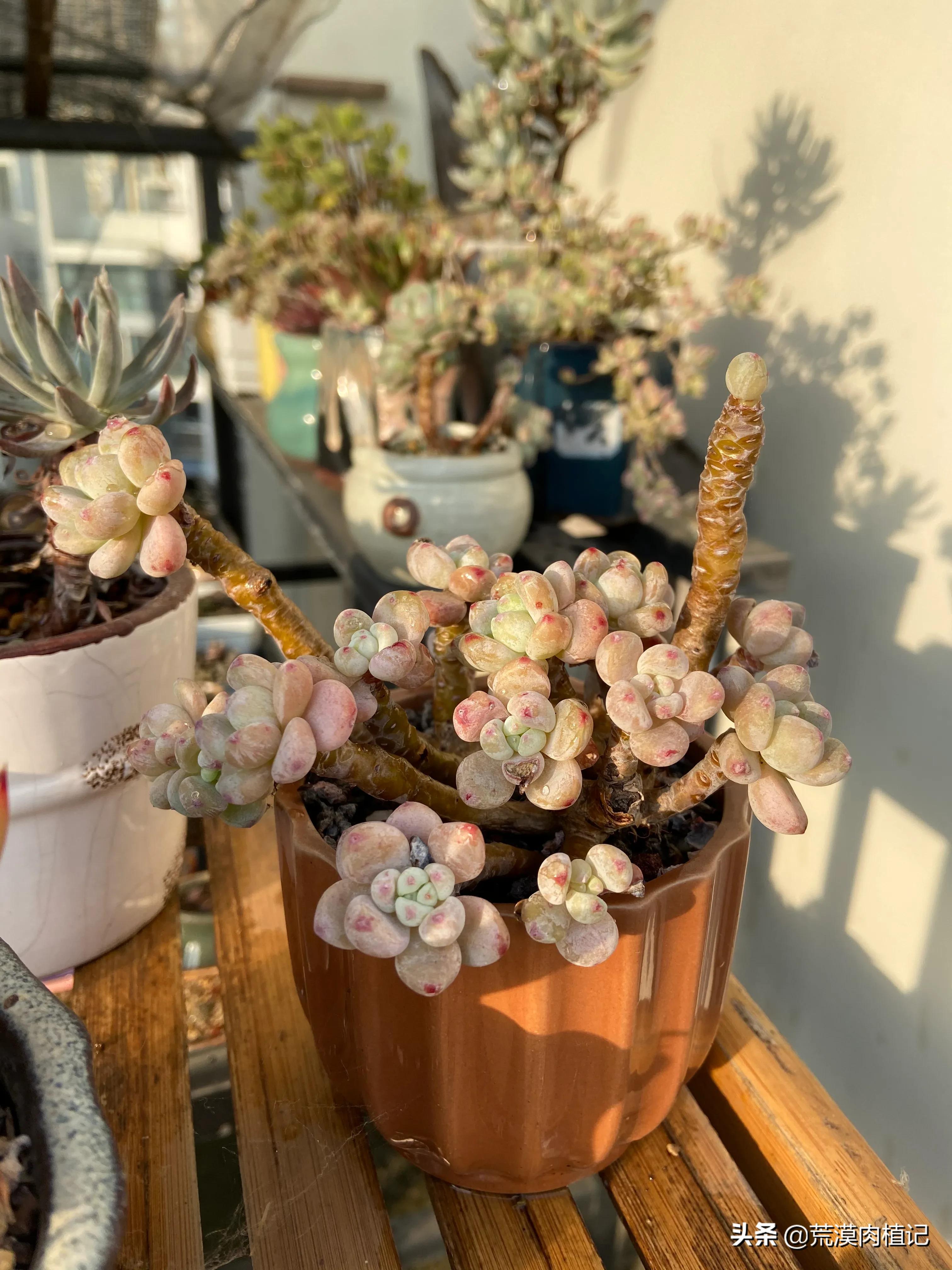 原来兴趣爱好真的能赚钱（一）