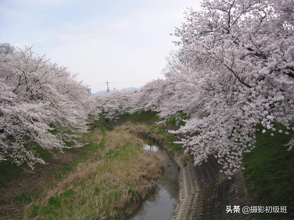 摄影技巧手机摄影技术教学小视频,摄影技巧入门手机摄影光影技巧