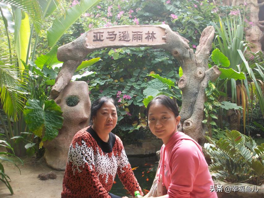 爸妈的爱让我觉得珍贵,父母的爱我永远还不完