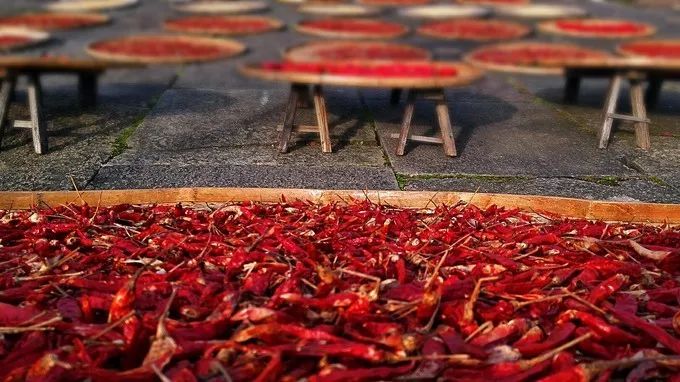 安徽值得去的四大古村,安徽春天最美十大村落