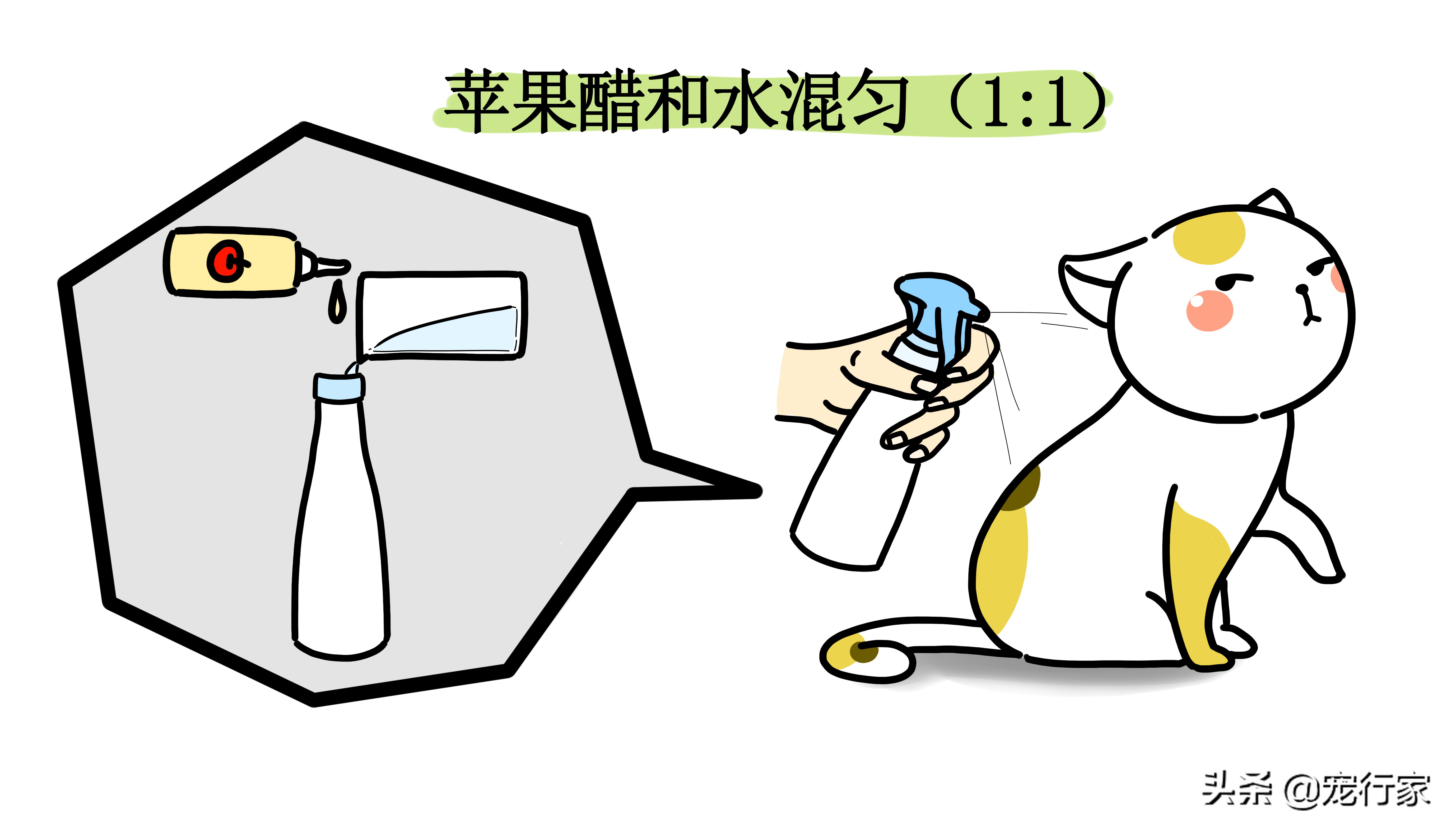 家里猫有跳蚤做了驱虫之后怎么办,当被跳蚤咬了该怎么办