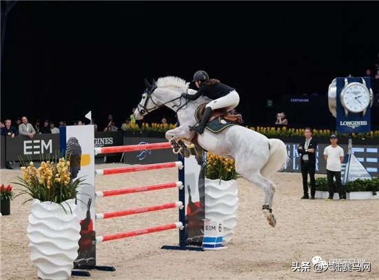 2019年中国马都第八届马术大赛,香港马术大赛2020