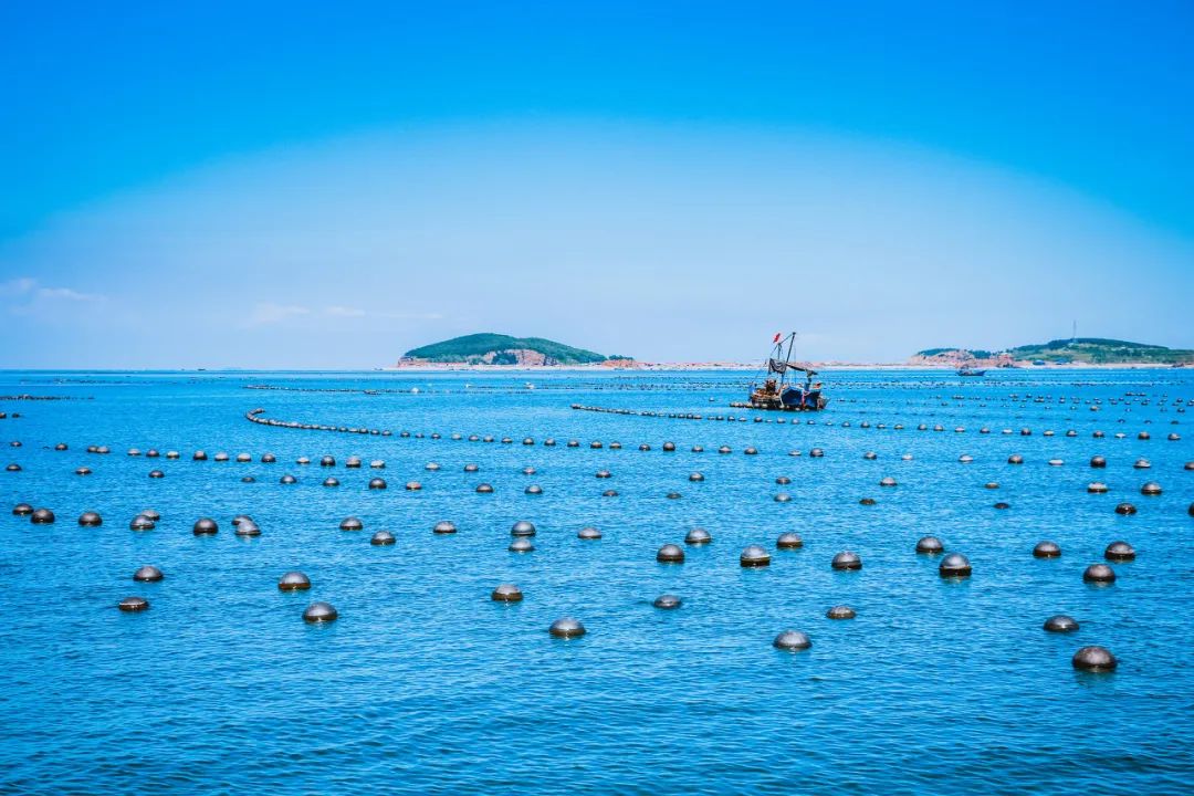 旅游三亚和厦门哪个更值得去,三亚和厦门哪一个更值得去旅游