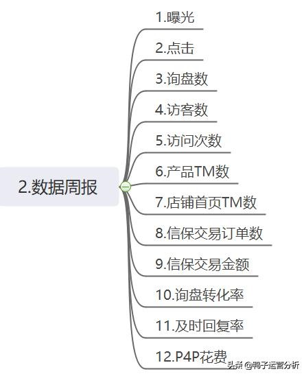 阿里国际站电商数据分析日常工作 (阿里巴巴国际站代运营电商排名)