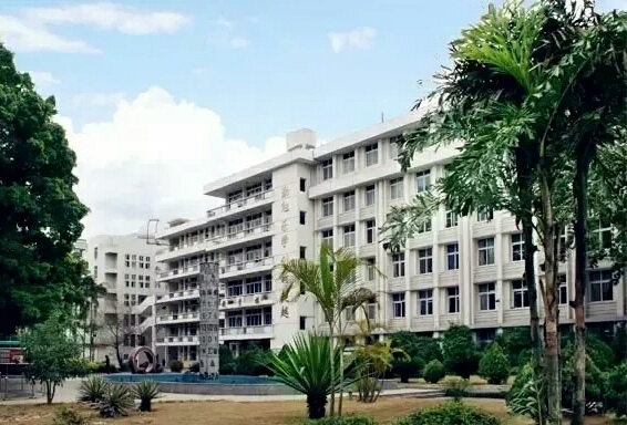 福州三中最厉害的老师,福州三中刘敏老师