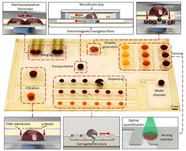 基因治疗神经再生,最新脑科学基因治疗新闻