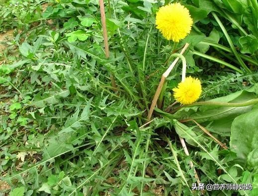 孩子感冒初期就用这几种食疗方法，宝妈们试过后都说管用，收藏