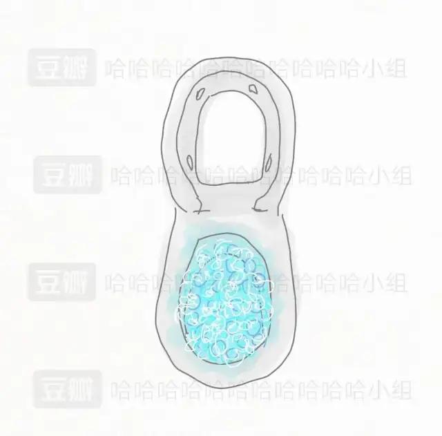 我为什么要作死把火锅底料倒进马桶里！啊啊啊！