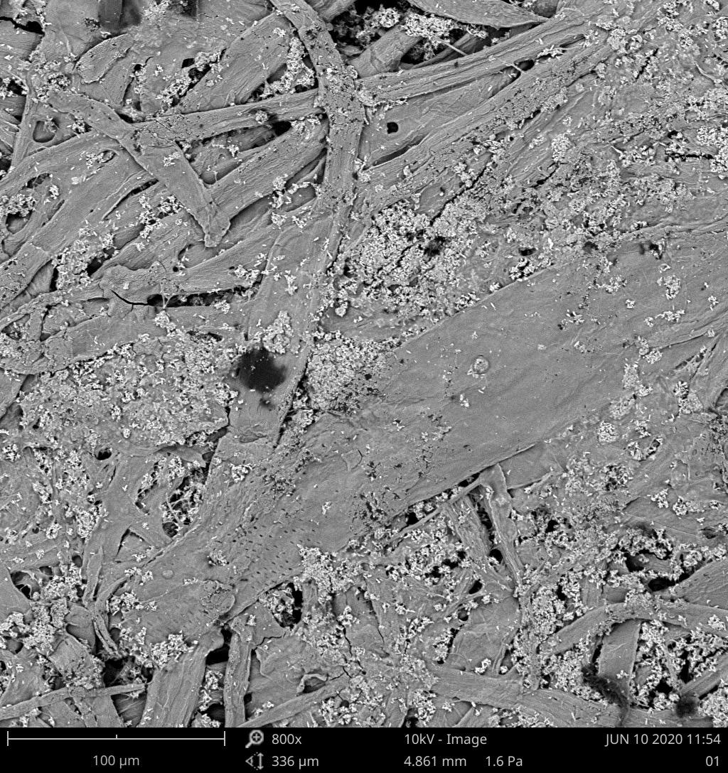 扫描电镜不导电样品需要怎么处理,扫描电镜不导电的样品拍出来模糊