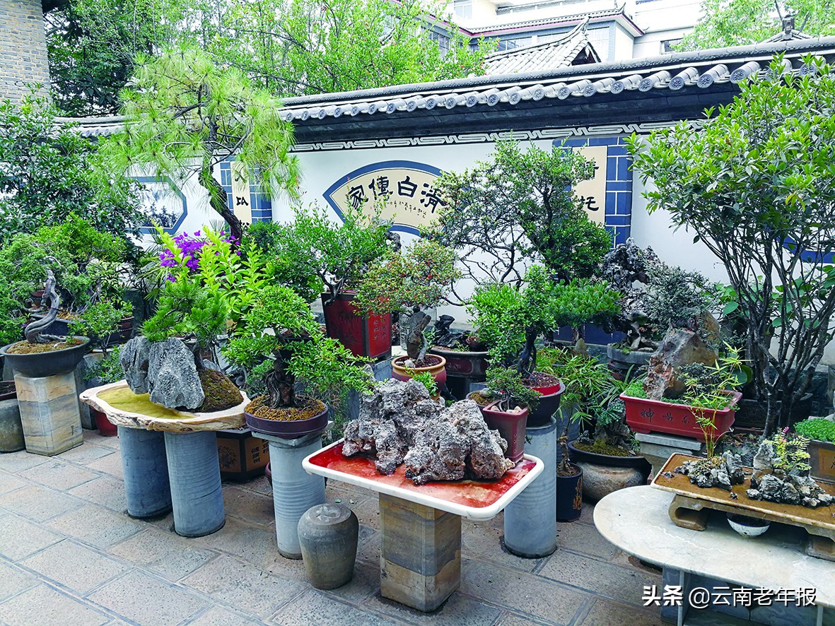 老中医退休的真实生活,退休老中医40年宝贵经验