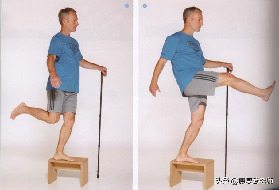 臀部肌群解剖详细讲解,臀部肌功能解剖