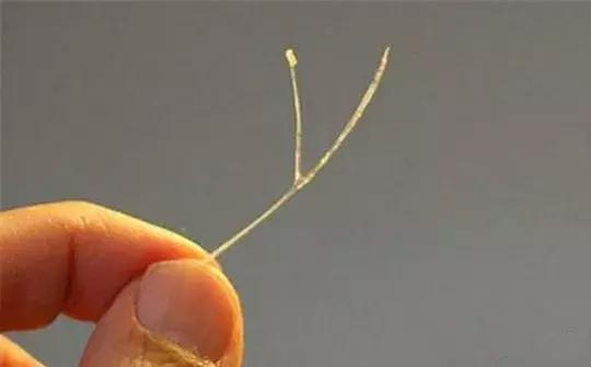 卡鱼刺在喉咙吃醋有用吗,吃鱼刺卡到的急救方法