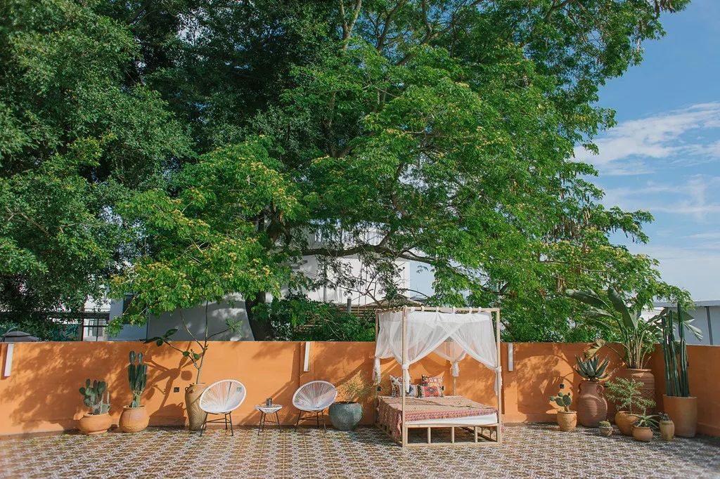 藏在海边的摩洛哥花园！夫妻俩不懂设计，却打造出厦门...