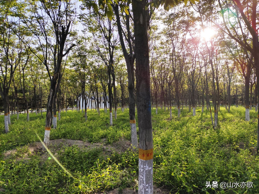 石家庄有个天然氧吧,石家庄天然氧吧旅游景点