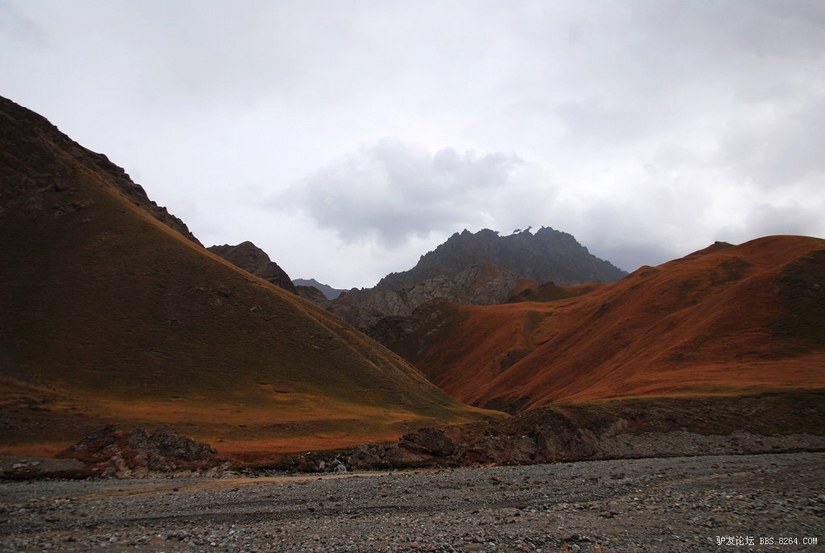 狼c调简谱教唱,狼c