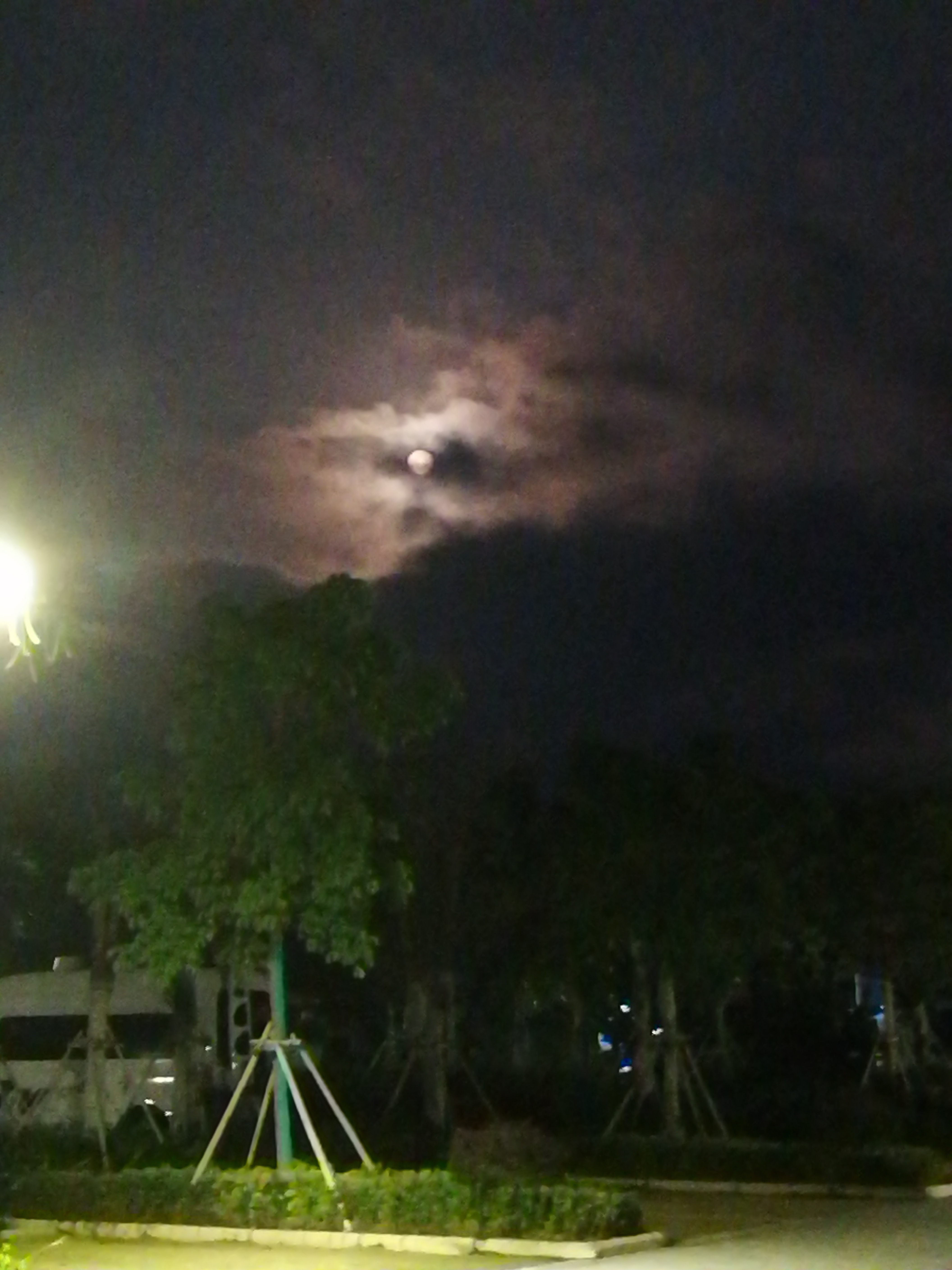 古稀之年天作合-------因祸得福、喜出望外的海南避寒床车之旅