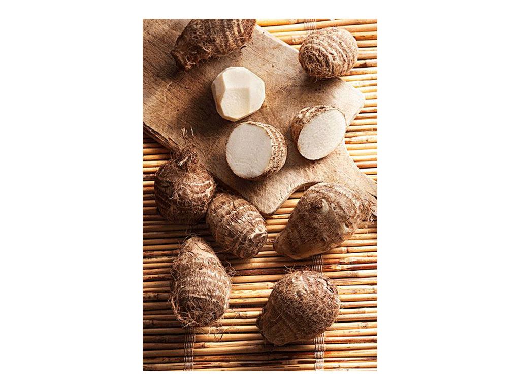 脊柱手术后的观察要点,脊柱手术后对排便要求