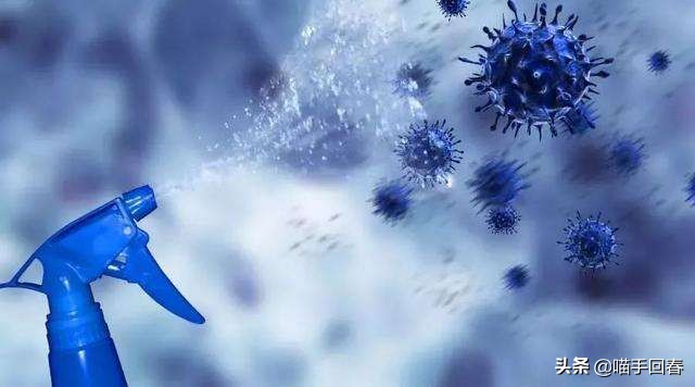 猫咪得了病治不好要安乐死吗,猫咪得了猫腹水安乐死