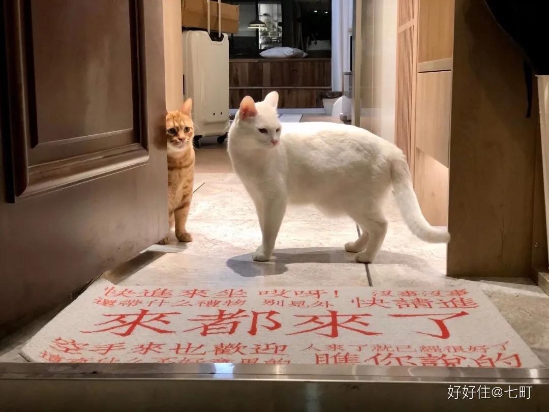 看完她家78㎡江景房，才发现最懂生活的，还是川渝人啊