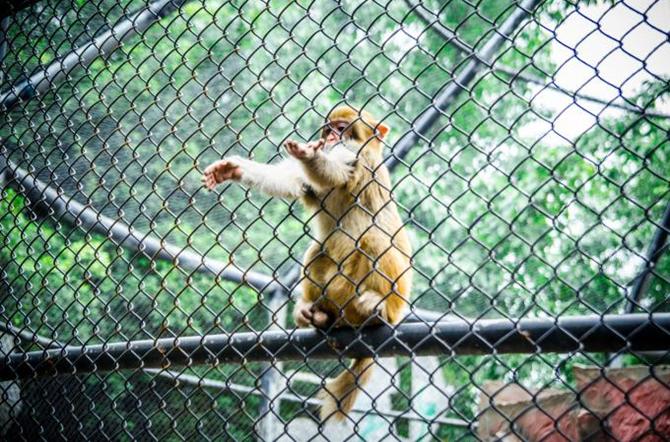 南湖梦幻岛耍多久合适,成都南湖梦幻岛门票