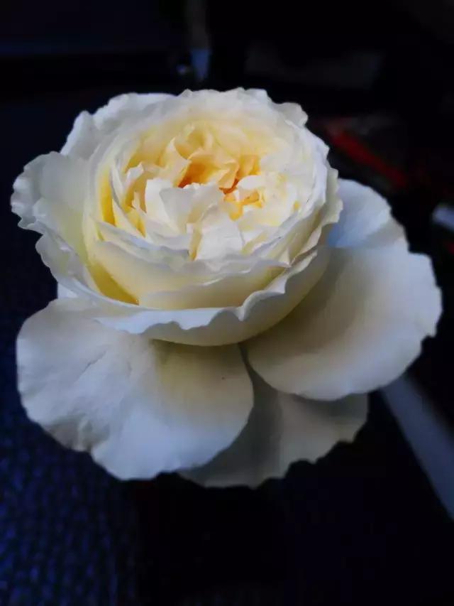 你的名字ost小姐姐,你的名字faded纯音乐版