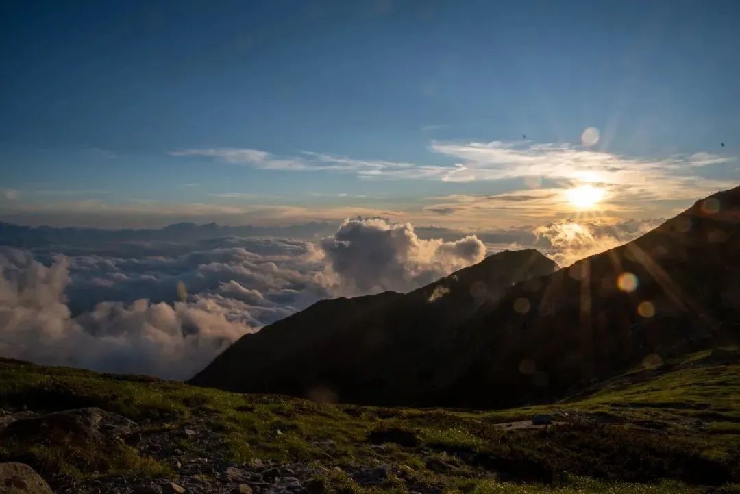 snapseed修图入门,snapseed手机修图入门课程第一讲