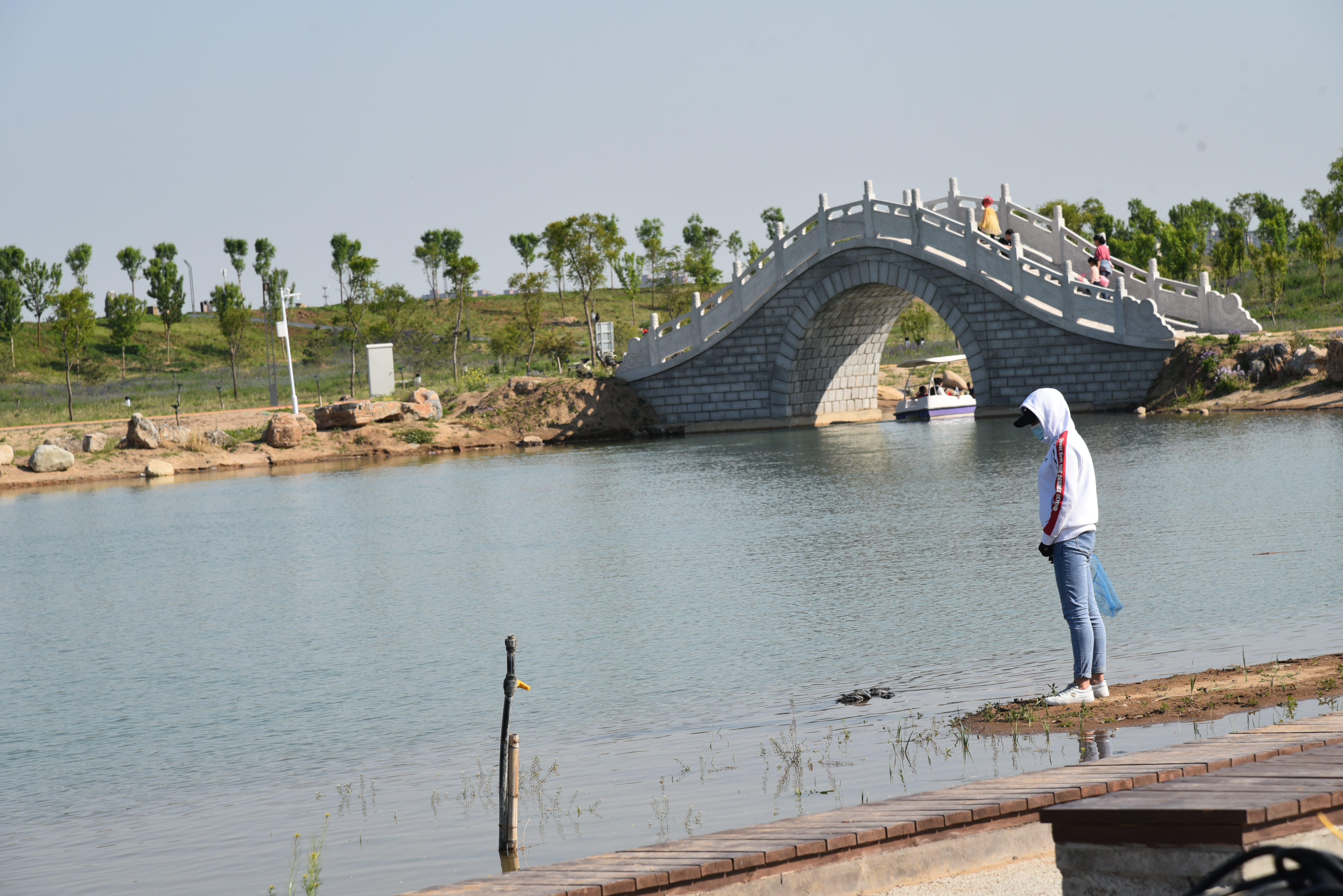 又一大片花海惊艳滹沱河,滹沱河生态景区滹沱花海