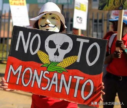 DDT、橙剂、转基因:生态环境摧毁者—孟山都