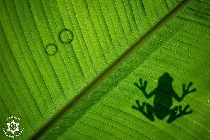 100寮犳渶鏂拌幏濂栧绀肩収,33涓幏濂栫殑濠氱ぜ鐓х墖瀹屽叏鍚稿紩鐪肩悆