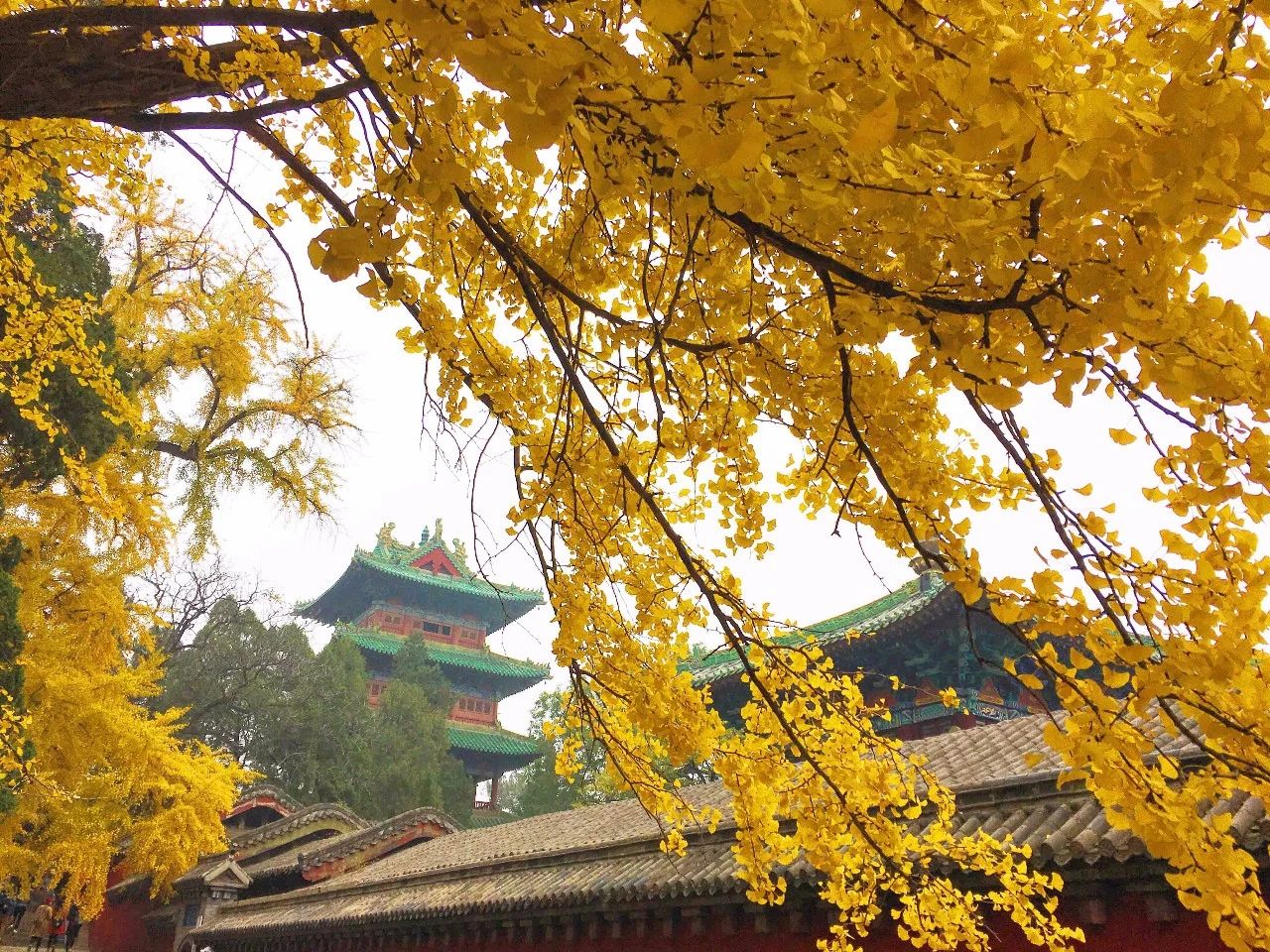 郑州漂亮的秋色风景,郑州的这些湖畔藏着最美的秋色