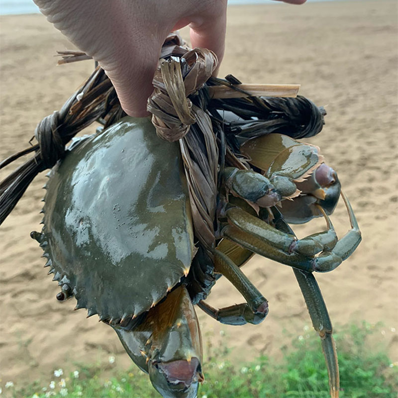 教师节应该送什么礼物好,教师节送给老师什么零食比较好