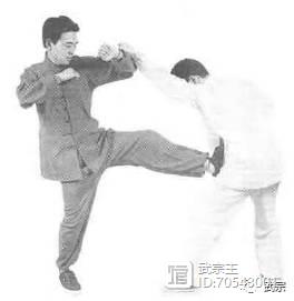 武当隐仙拳技击术,武当秘门技击术