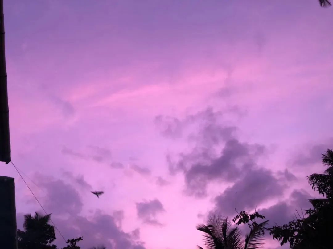 我在印度练瑜伽的感受,我在印度